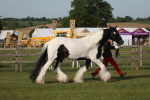 SBM_10543