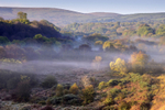 Autumn Mist Brynberian