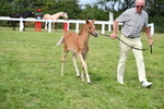 DSC_8660