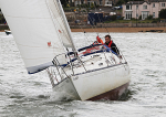 100530 BIDDY GBR1273C IMG_7228