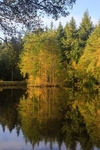 Autumn Reflected