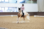 SBM_007731