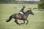 BVHT 140517  NXC -117