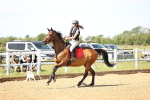 Class 9 British Novice/90cm portfolio