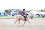 SBM_17095