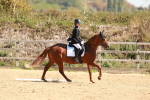 SBM_010668