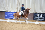 SBM_000784