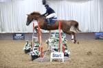 SBM_007698