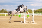 SBM_002385