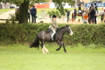 SBM_71597