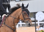 BPP_8482