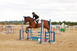 SBM_005099