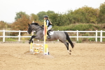 SBM_008181