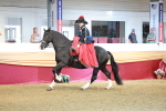 SBM_13615