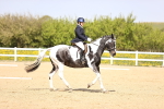 SBM_007963