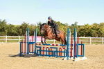 SBM_000523