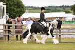 SBM_06107
