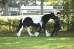 SBM_60871