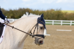 SBM_002769