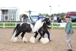 SBM_00304