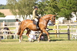 SBM_19617