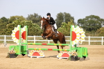 SBM_03377