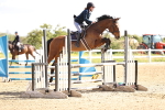 SBM_003263