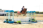 Class 23 - Senior Foxhunter - 1.20m portfolio