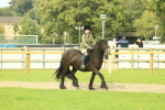 SBM_69349