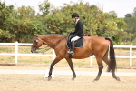 SBM_007235