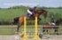 BPP_4659