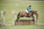 BVHT 140517  NXC -486