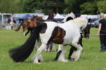 SIAL2702