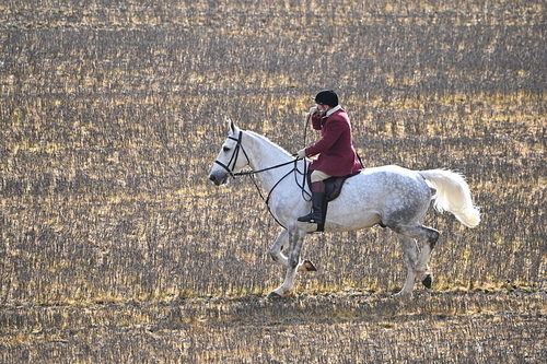 WJ6_8591