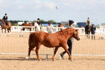 SBM_10944