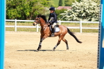 SBM_007237