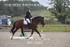 BPP_9682