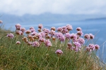 20120531-_MG_9943