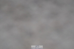 231017A-124418-06876