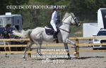 BPP_8378