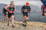 Coledale-560