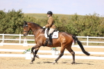 SBM_015114