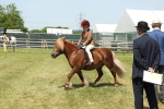 SBM_05330