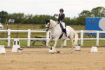 SBM_013299