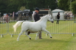 SBM_00501