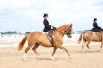 SBM_03398