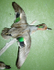 LEVI - GRN WING
