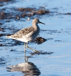 20081128-IMG_0828 097