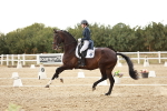 SBM_006894