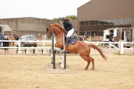 SBM_008041
